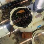 WhatsApp Image 2026-02-19 at 8.50.02 AM (1)