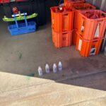 WhatsApp Image 2026-02-19 at 8.50.04 AM