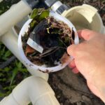 WhatsApp Image 2026-02-19 at 8.50.04 AM (2)