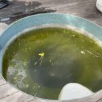 WhatsApp Image 2026-02-19 at 8.50.07 AM